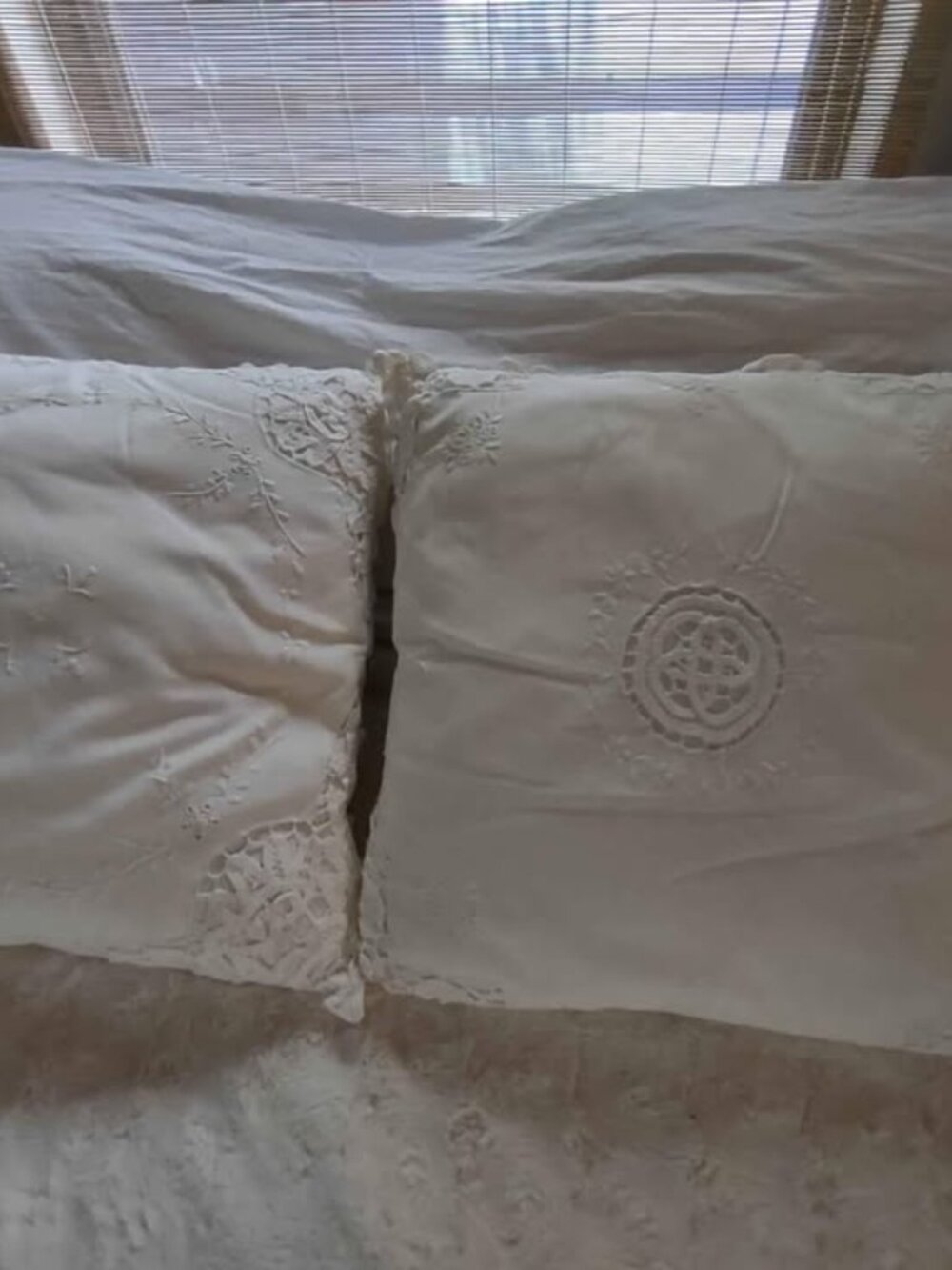 Two Decorative Throw Pillows